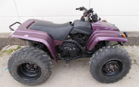YAMAHA BIGBEA-4X4 3HN