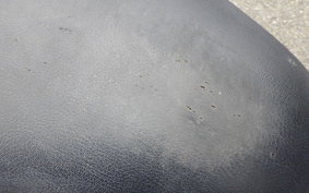 SUZUKI ADDRESS V125 G 1988 CF46A