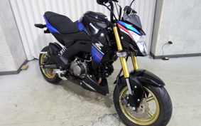 KAWASAKI Z125 PRO BR125H