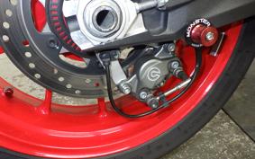 DUCATI MONSTER 937 + 2022