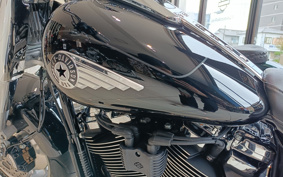 HARLEY  HARLEY FLFB 2025 YF9