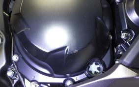 KAWASAKI NINJA 1000 SX 2025 ZXT02K