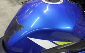 SUZUKI GSX250 R 2024