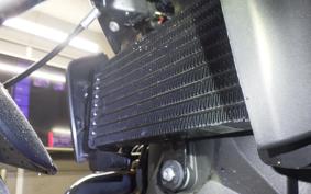 BMW R12 2025