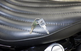 HARLEY XL1200NS 2019