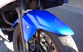 SUZUKI GSX250 R DN11A