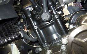 SUZUKI ｼﾞｸｻｰ250 ED22Y