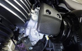 KAWASAKI W800 CAFE 2021 EJ800B