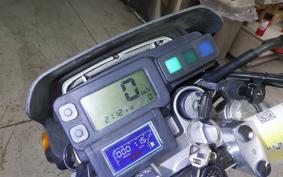 KAWASAKI SUPER SHERPA 2021 KL250G