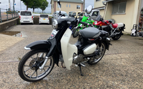 HONDA  SUPER CUB C125 JA48