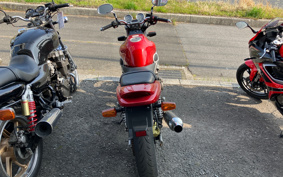 YAMAHA ZEAL 3YX