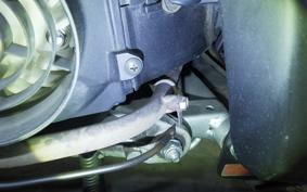 HONDA DIO Gen.6 2024 AF68