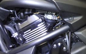 KAWASAKI VULCAN 650 SA 2020 EN650G