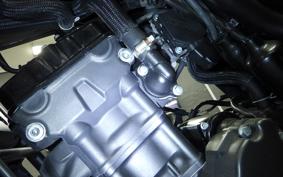 HONDA REBEL 250 S MC49