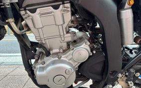 YAMAHA WR250X DG15J