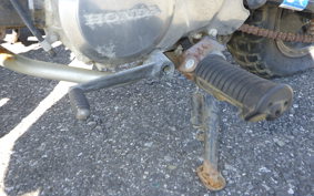 HONDA GORILLA AB27