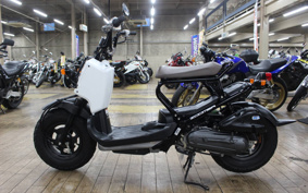 HONDA ZOOMER 2012 AF58