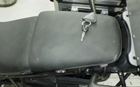 TRIUMPH TIGER 800 2019