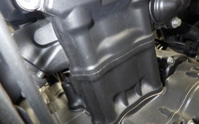 HONDA REBEL 250 2010 MC49