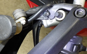 DUCATI MULTISTRADA 1200 S 2010