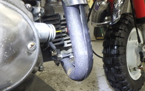 HONDA UNREGISTERED MODEL by BDS50