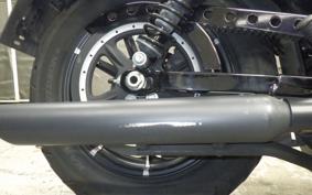HARLEY XL883N 2017