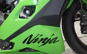 KAWASAKI ZX-25RR 2011 ZX250H