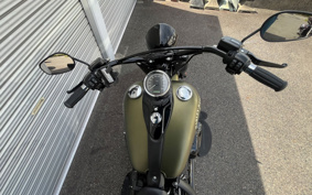 HARLEY FLSS 2017 JS9