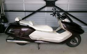 YAMAHA MAXAM 250 SG21J
