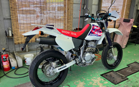 HONDA XR250 MD30