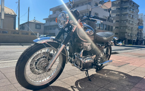 KAWASAKI W800 2024 EJ800E