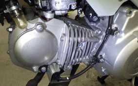 HONDA CROSS CUB 110 JA60