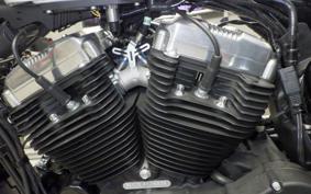HARLEY XL1200X 2020