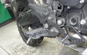 TRIUMPH TIGER 800 XC