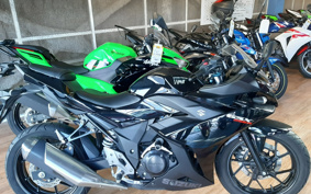 SUZUKI GSX250 R DN11A