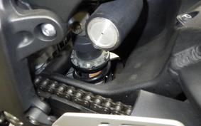 KAWASAKI NINJA ZX-6R 2020 ZX636G