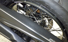 TRIUMPH TIGER 900 RALLY PRO 2022