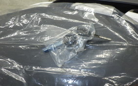 YAMAHA CYGNUSｸﾞﾘﾌｧｽ 2015 SEJ4J