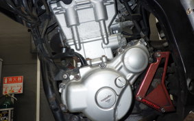 YAMAHA WR250X 2022 DG15J