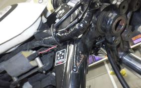 KAWASAKI 250TR
