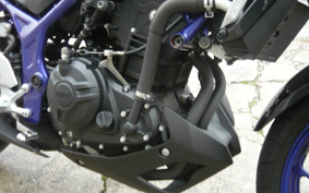 YAMAHA MT-25 RG43J