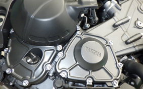 YAMAHA MT-09 SP 2021 RN69J