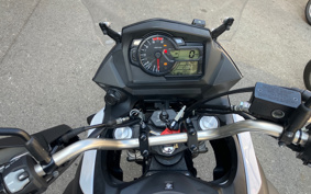 SUZUKI DL650 ( V-Strom 650 ) 2019 C733A