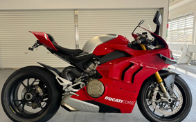 DUCATI  DUCATI PANIGA-REV4R 2019 DA04