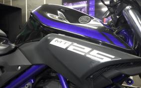 YAMAHA MT-25 2008 RG43J