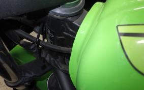 KAWASAKI NINJA 250 2025 EX250L