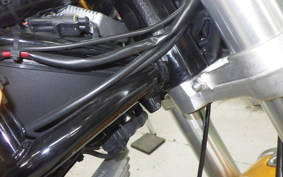 DUCATI SPORT 1000 2006