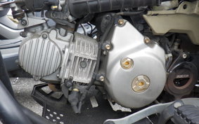 HONDA CT125 HUNTER CUB JA55