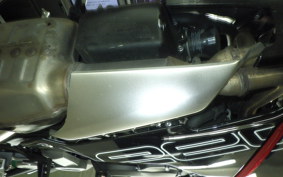 TRIUMPH DAYTONA 660 2024
