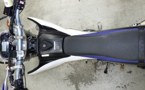 YAMAHA WR250X DG15J